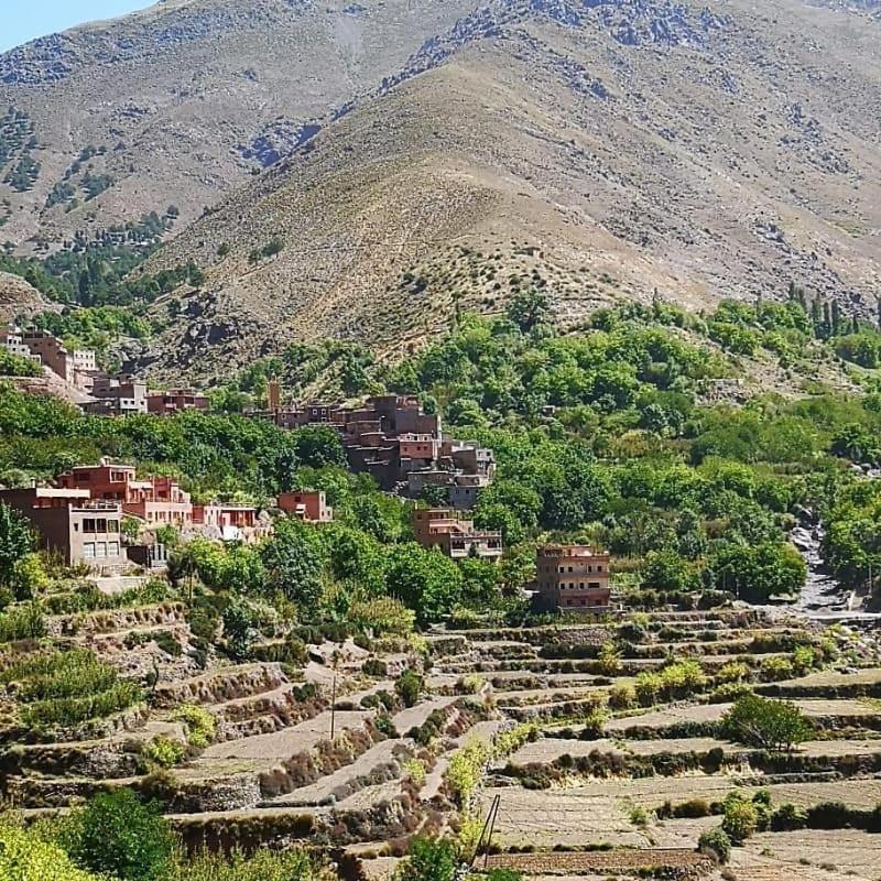 Toubkal Ecolodge Imlil  Exteriér fotografie